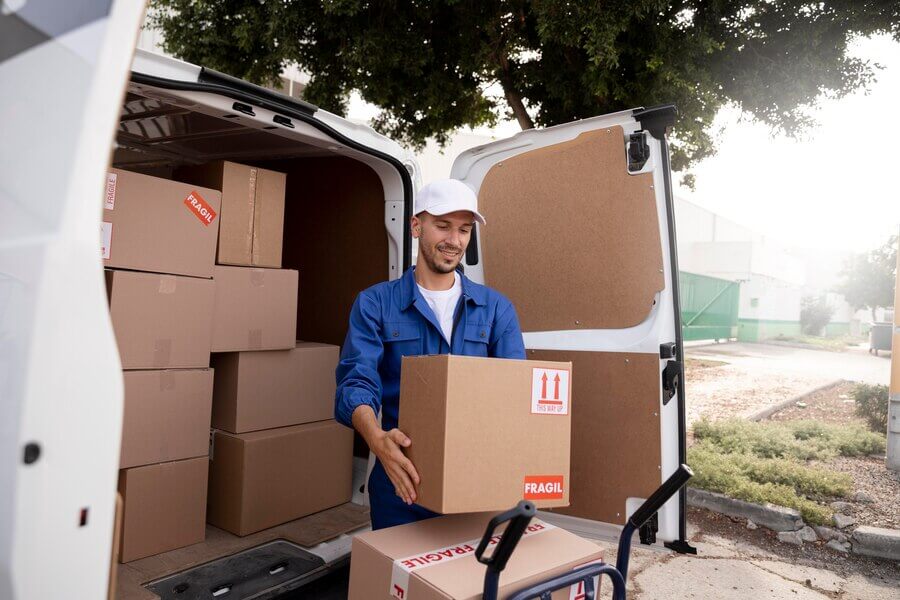 Professional mover loading boxes into a van