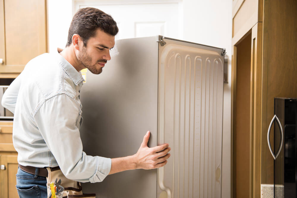 Refrigerator moving professionals